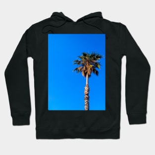 Blue Sky Palm Trees Summer Nature Travel Hoodie